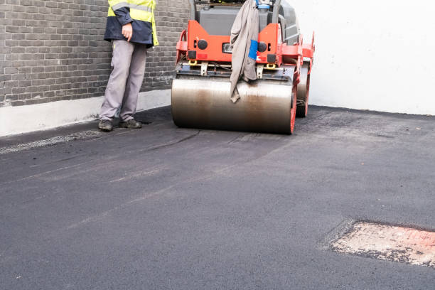 Best Driveway Drainage Solutions  in Ben Bolt, TX